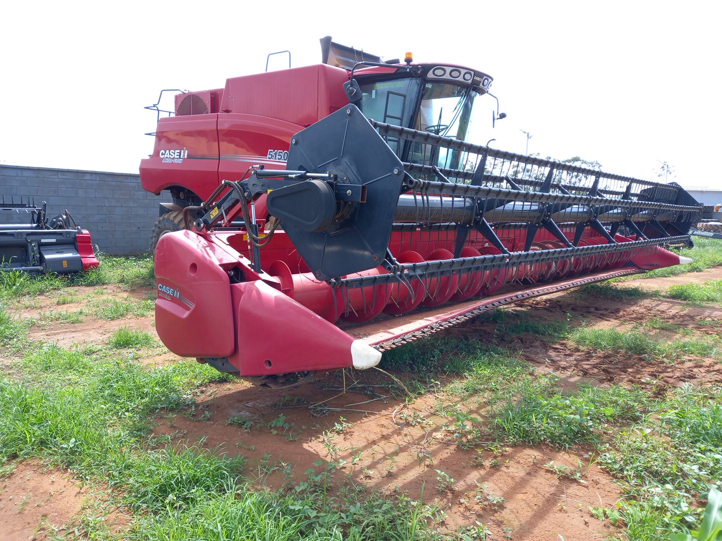 PLATAFORMA 30 PES CARACOL TERRAFLEX