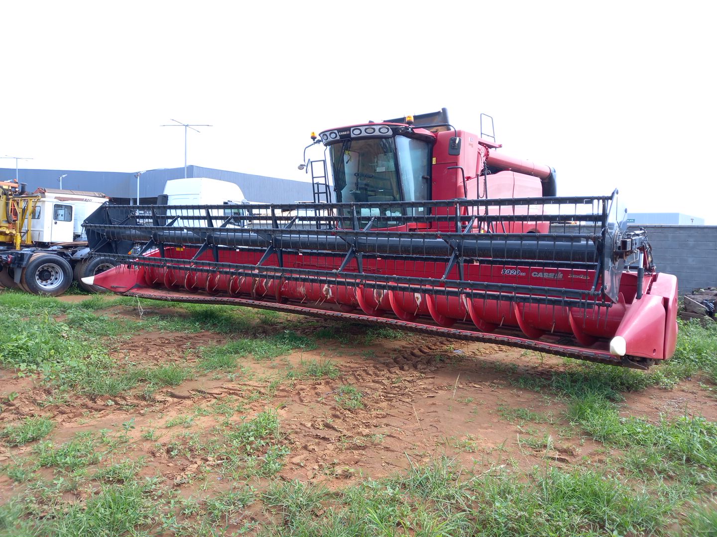 PLATAFORMA 30 PES CARACOL TERRAFLEX