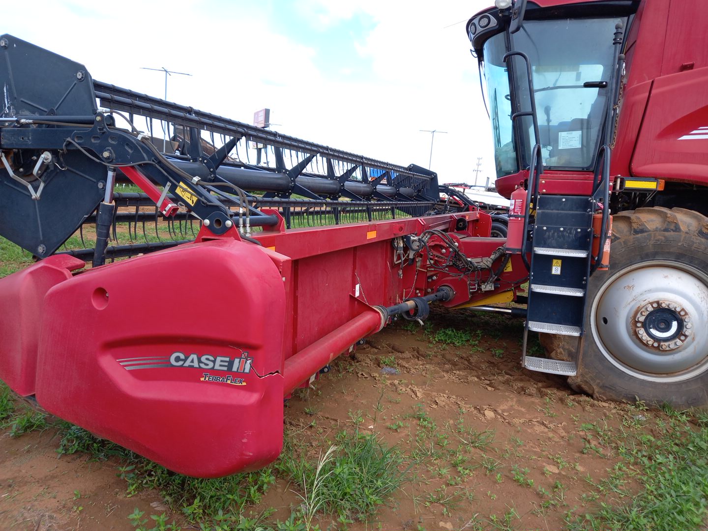 PLATAFORMA 30 PES CARACOL TERRAFLEX