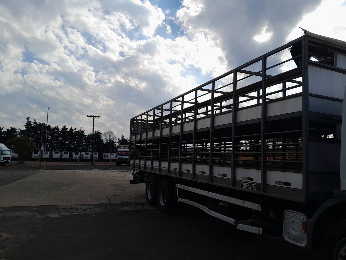 CARROCERIA METÁLICA TRANSP. SUÍNOS