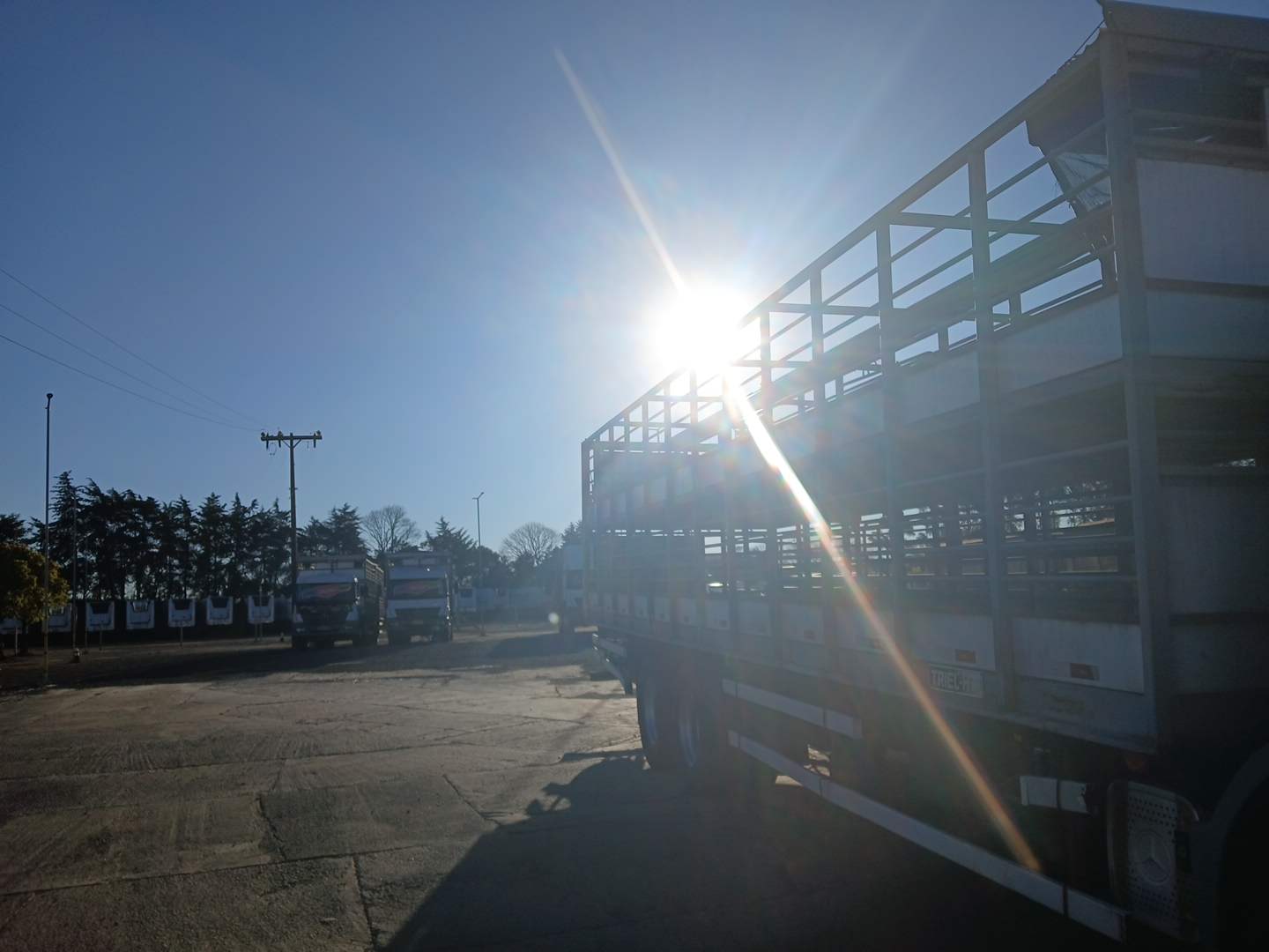 CARROCERIA METÁLICA TRANSP. SUÍNOS